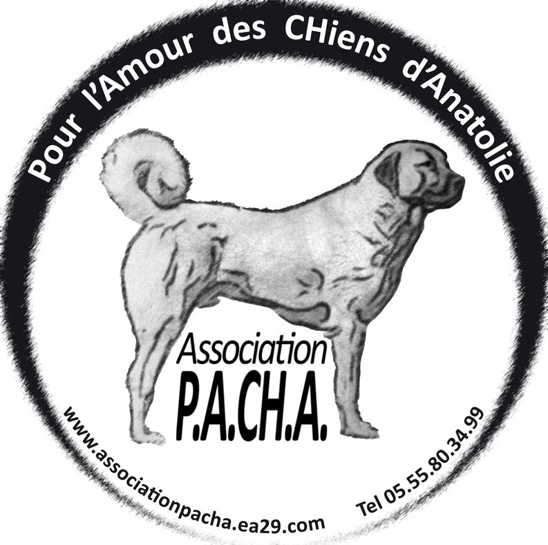 Logo P.A.CH.A.jpg